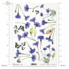 chabry, flower, flowers, cornflowe, cornflowers, butterfly, butterflies, wildflowers, meadow